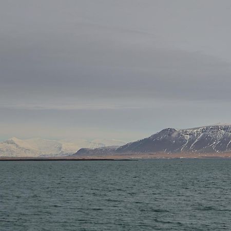 Floki'S Apartment Downtown. Reykjavik Ngoại thất bức ảnh